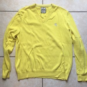 Express V Neck Sweater